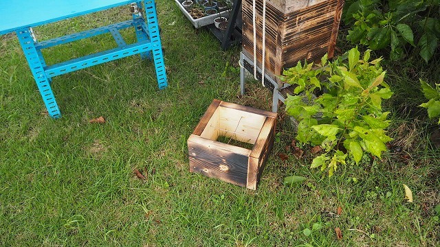 二ホンミツバチの巣箱
