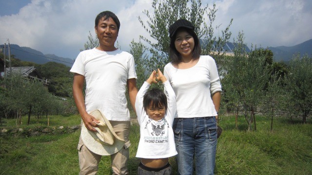 2011年山田オリーブ園の収穫風景