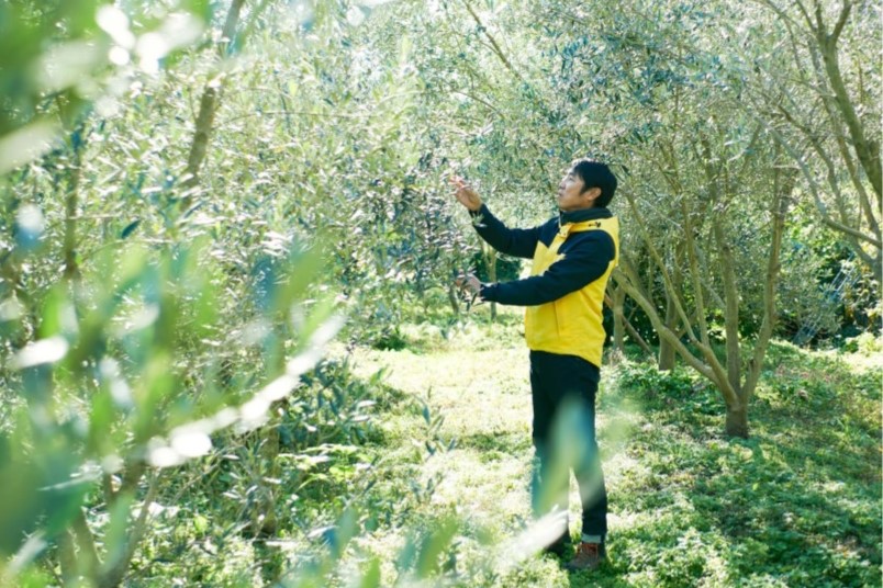 山田典章とオリーブ畑