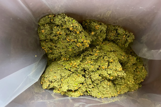 オリーブの果実