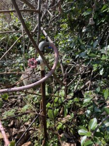 壊れた道具を修理する楽しみ