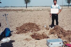 オリーブが育たない痩せた畑でも育つ果樹はないだろうか？／ナツメ／ザクロ