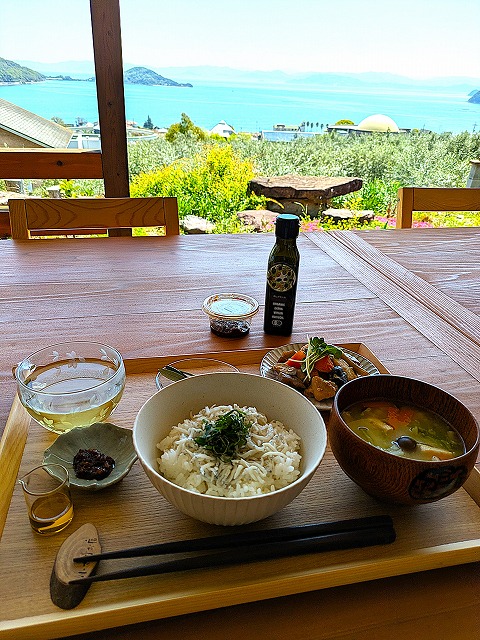 シラス丼のランチプレート