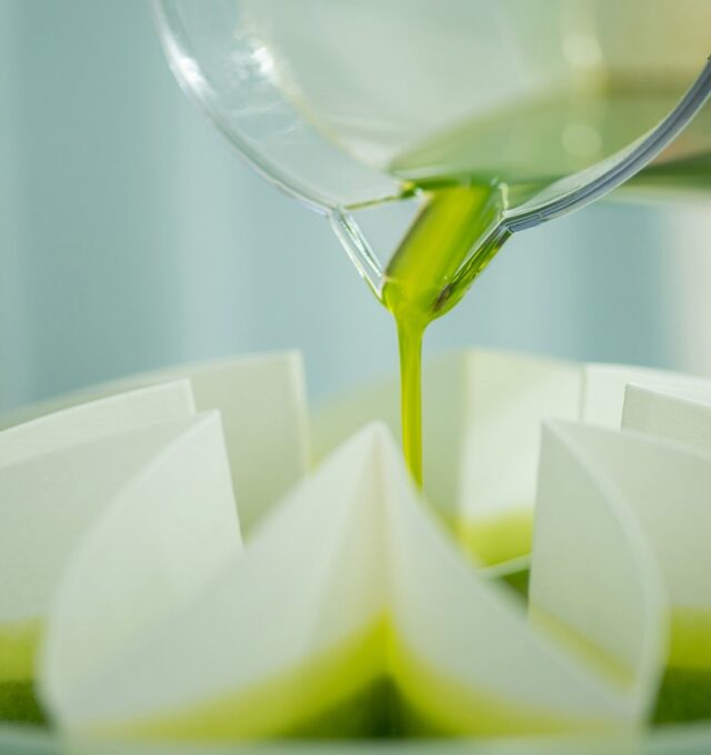 山田オリーブ園搾油濾過